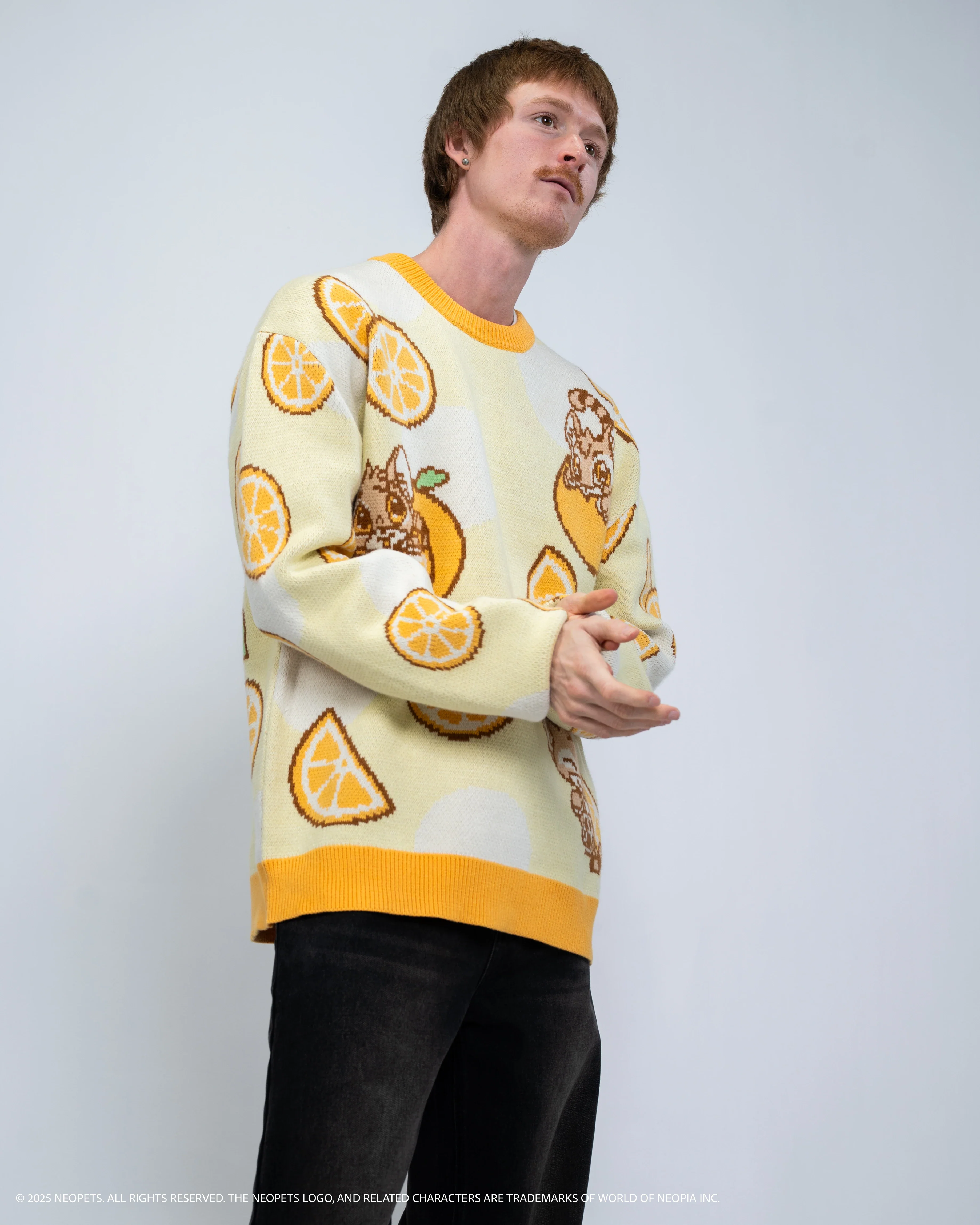 Baby Kougra Orange Sweater - Image 8