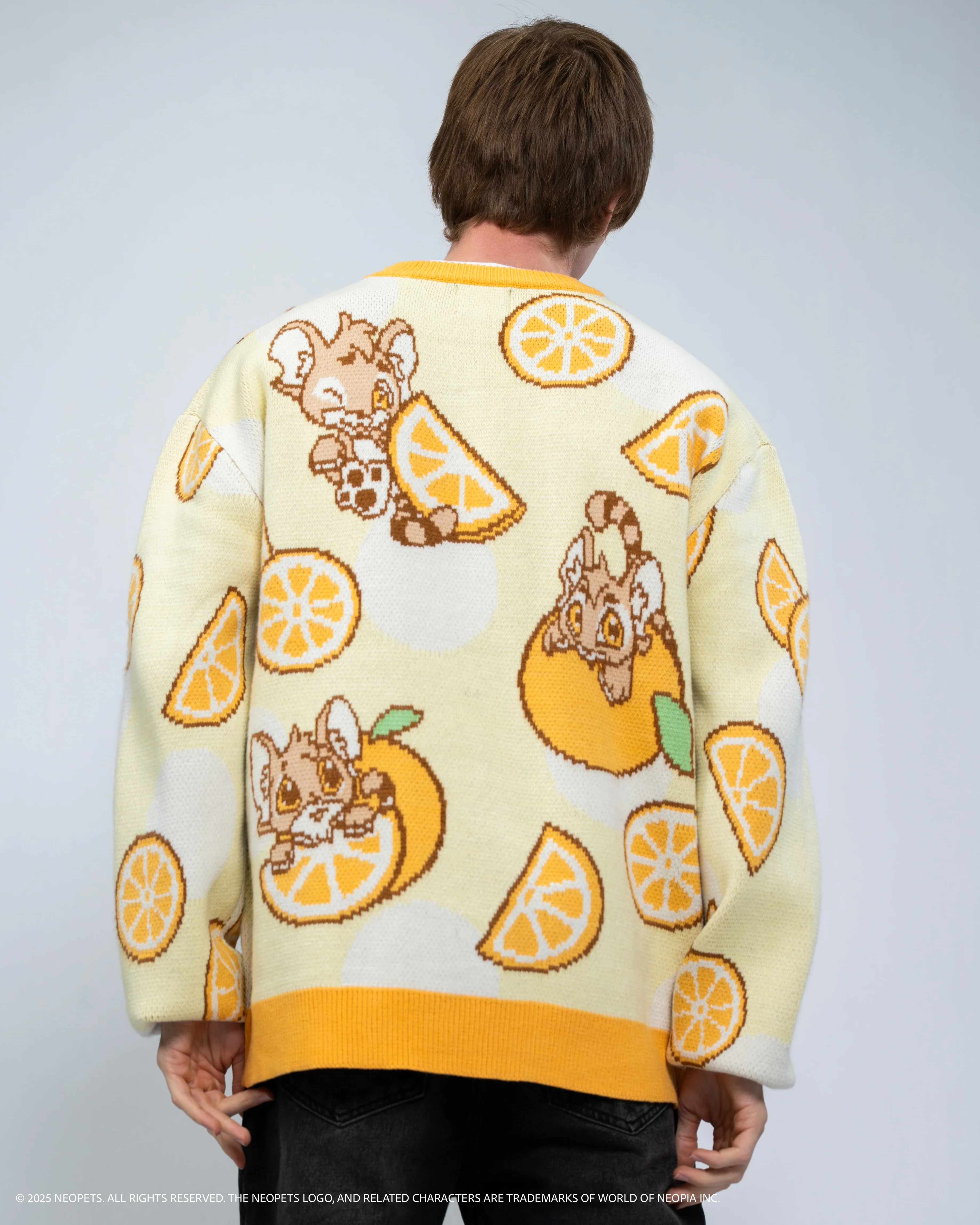 Baby Kougra Orange Sweater - Image 9