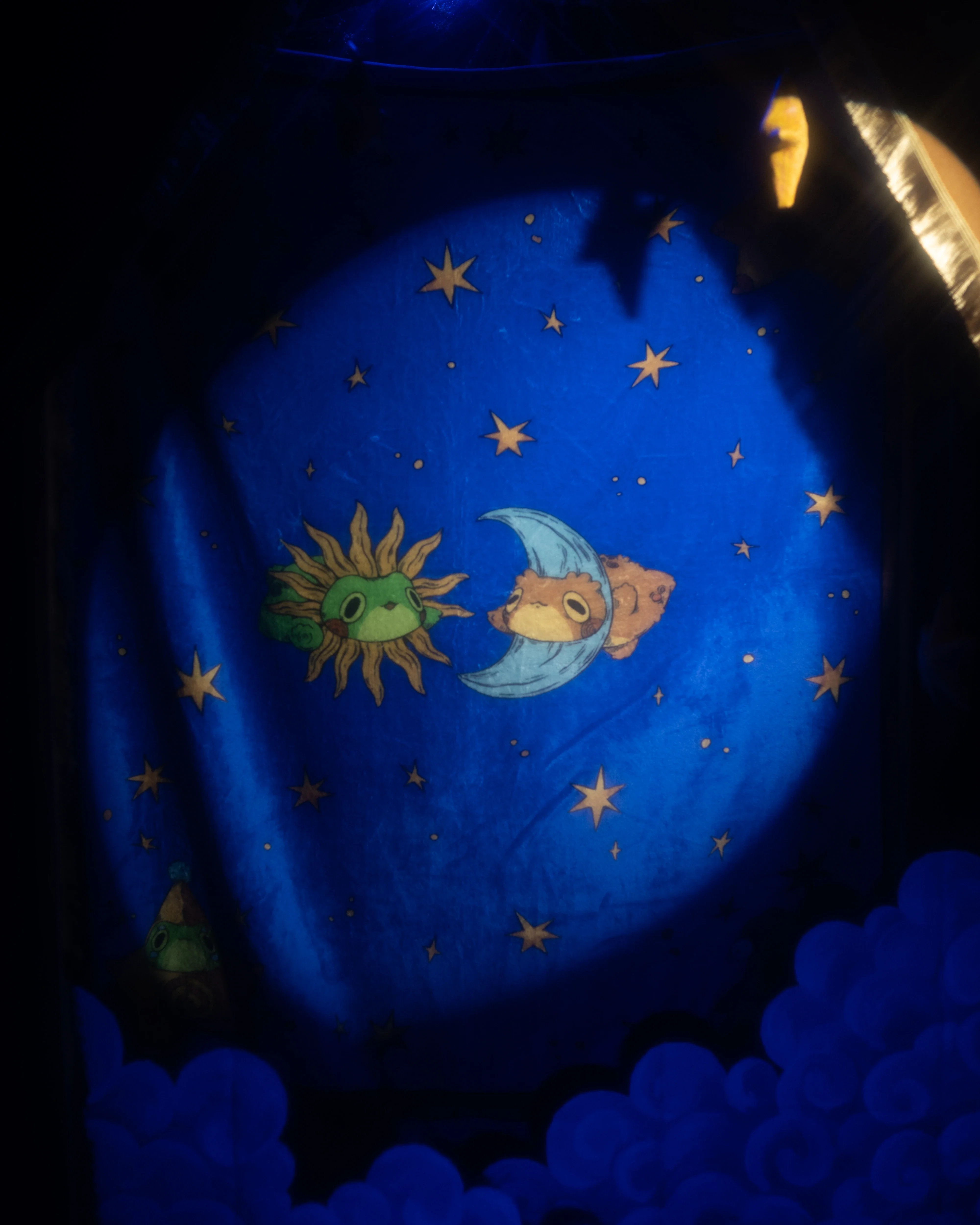 Celestial Frog and Toad Blanket - Image 3