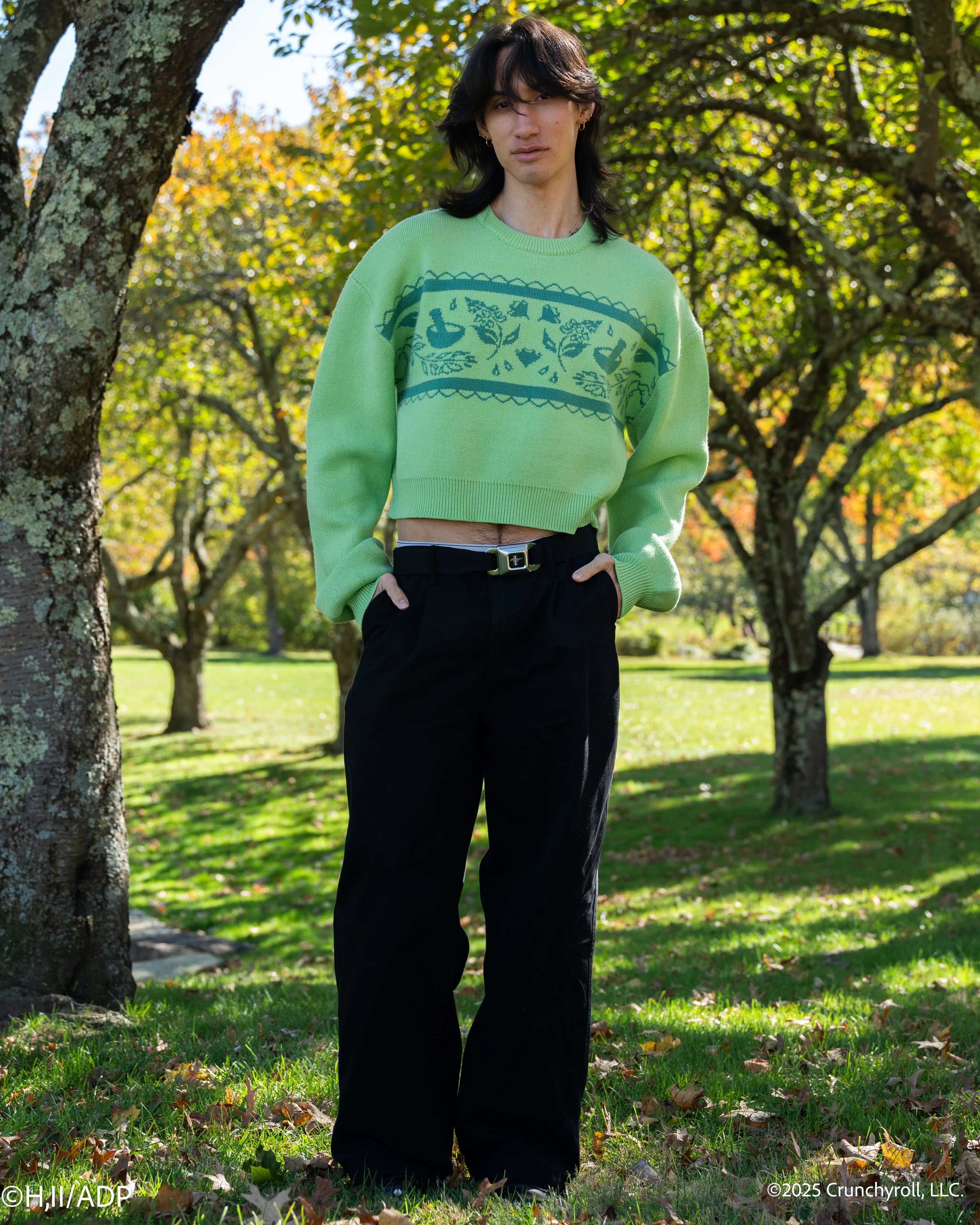 Cropped Apothecary Sweater - Image 10