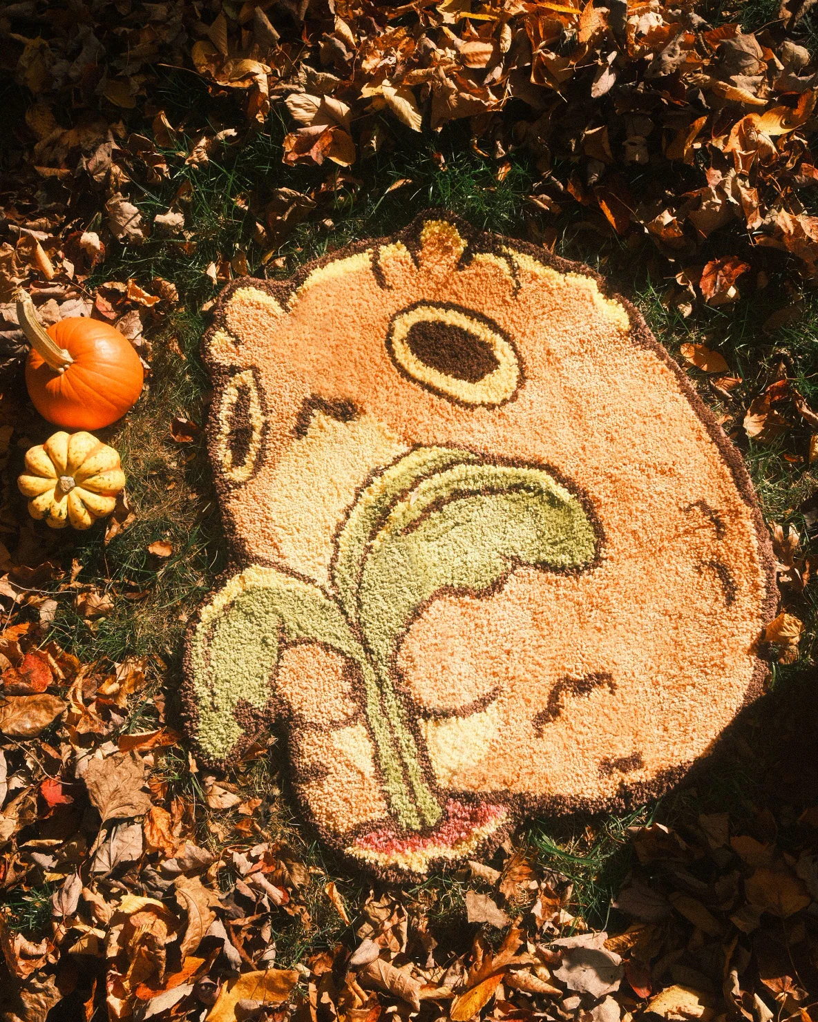 Farming Toad Rug - Image 3