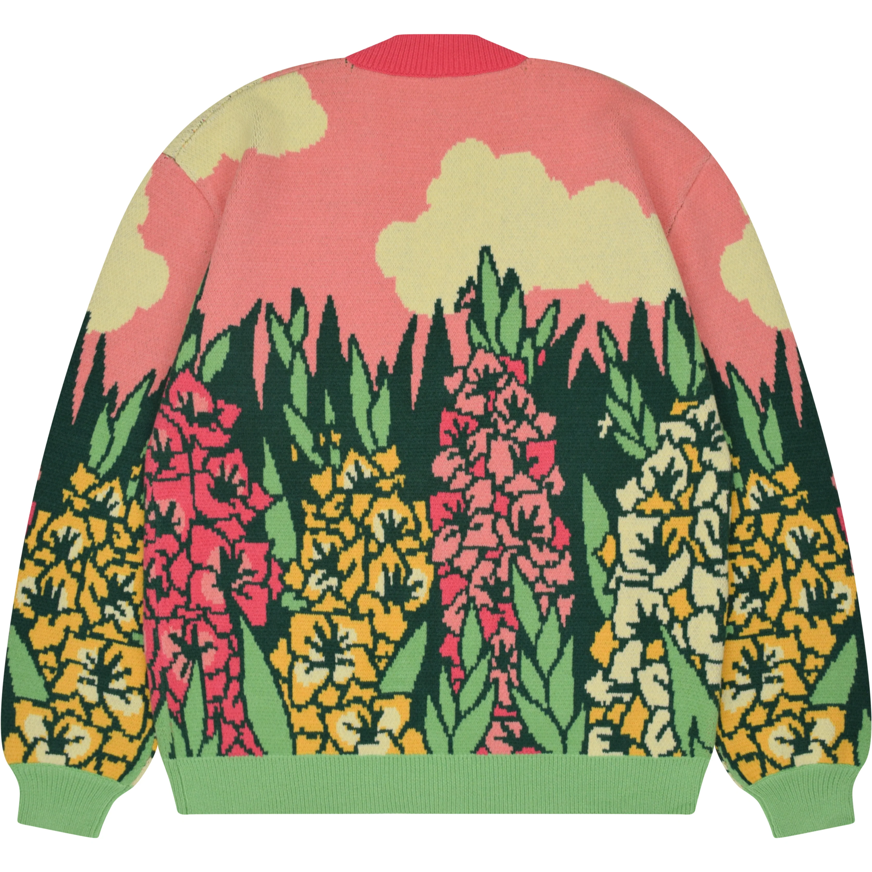 Gladiolus Cardigan - Image 2
