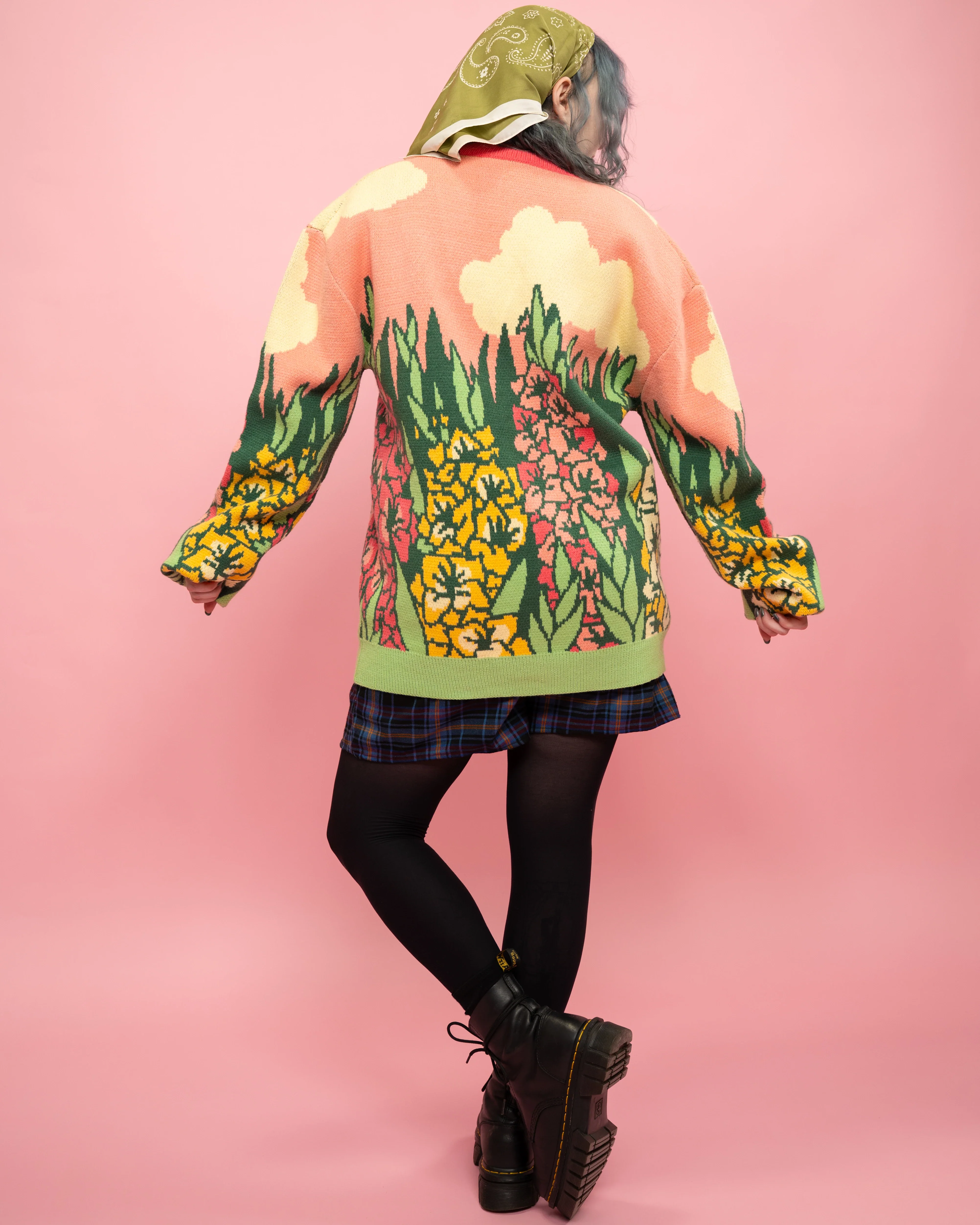 Gladiolus Cardigan - Image 4