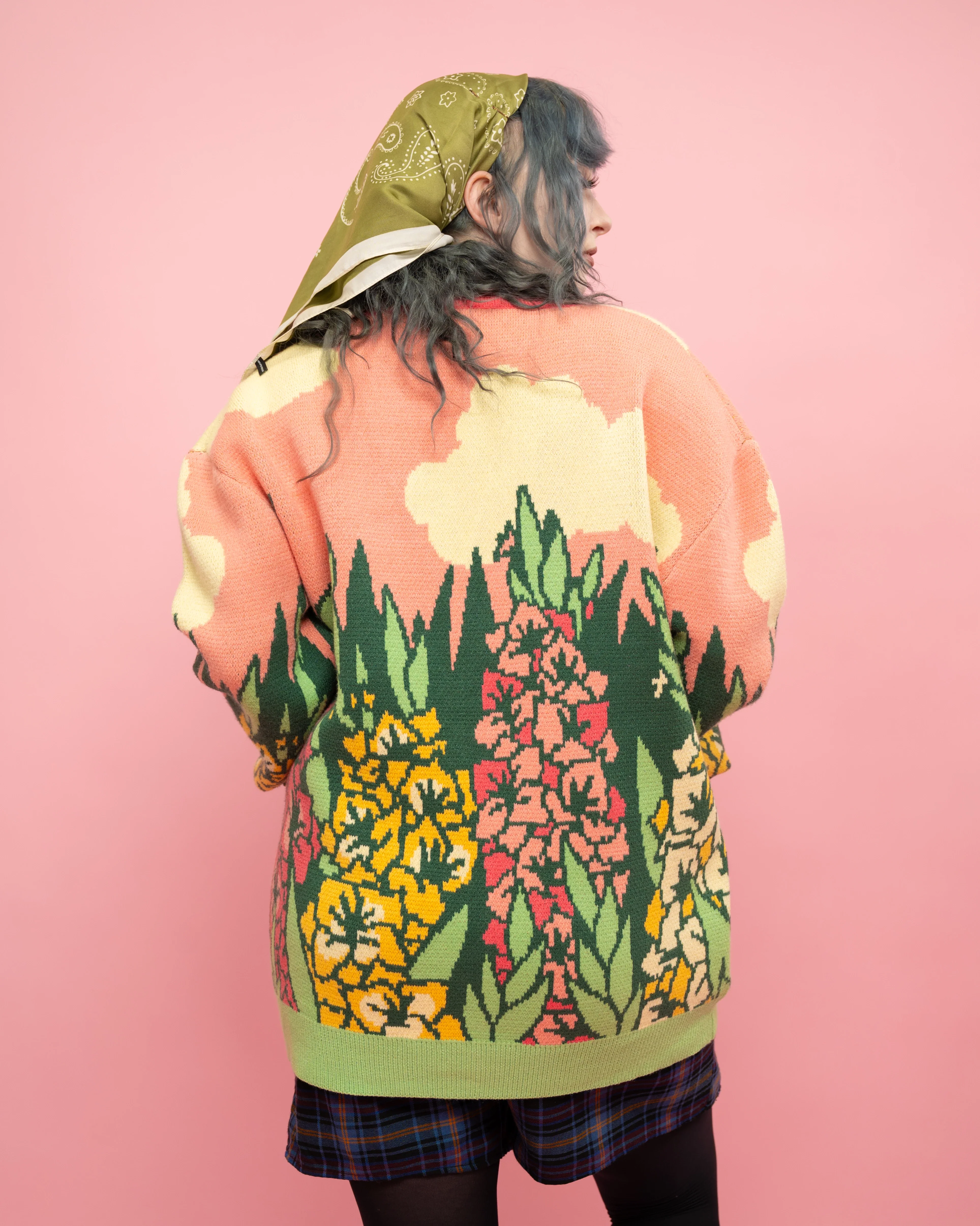 Gladiolus Cardigan - Image 6