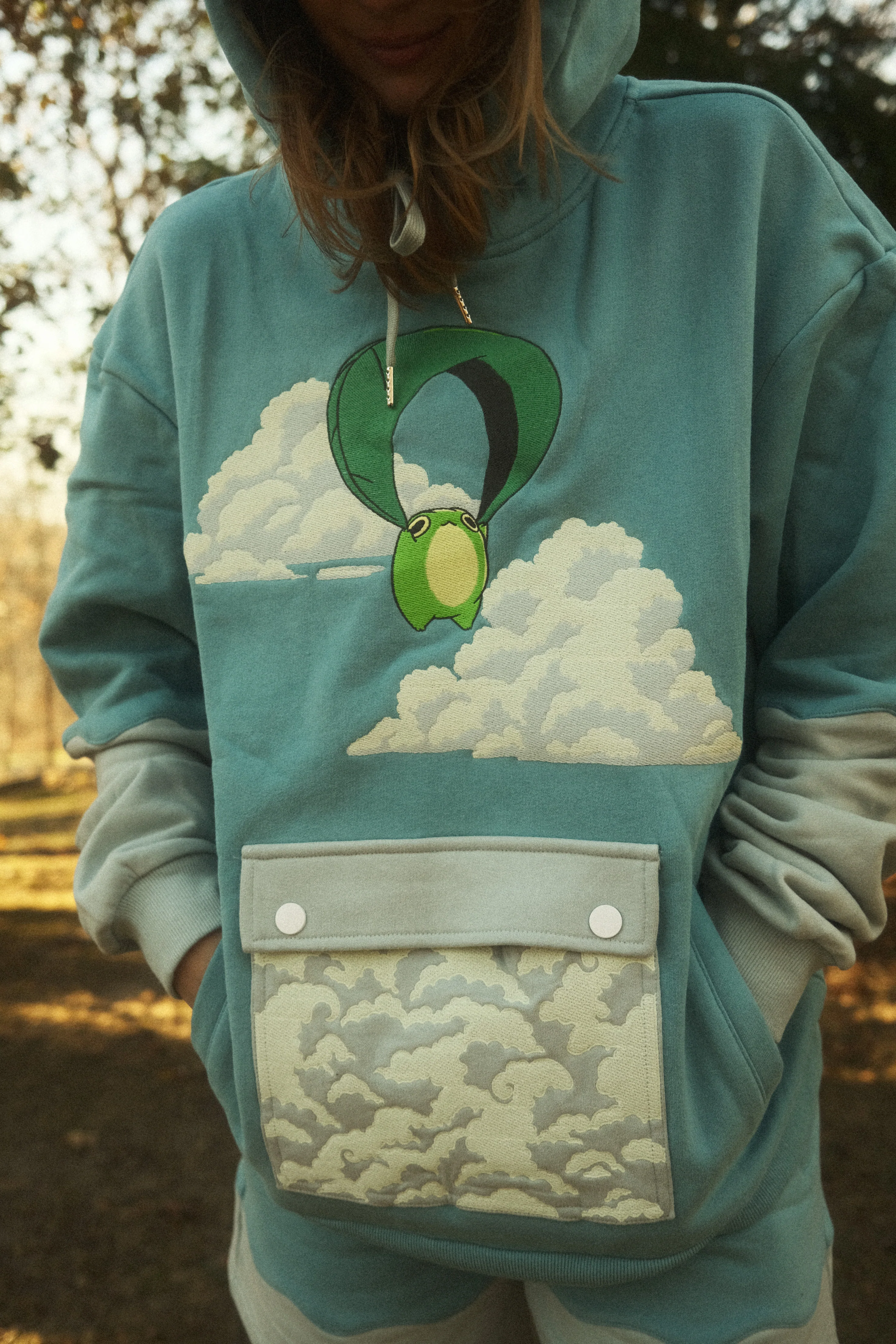 Gliding Frog Daytime Hoodie - Image 4