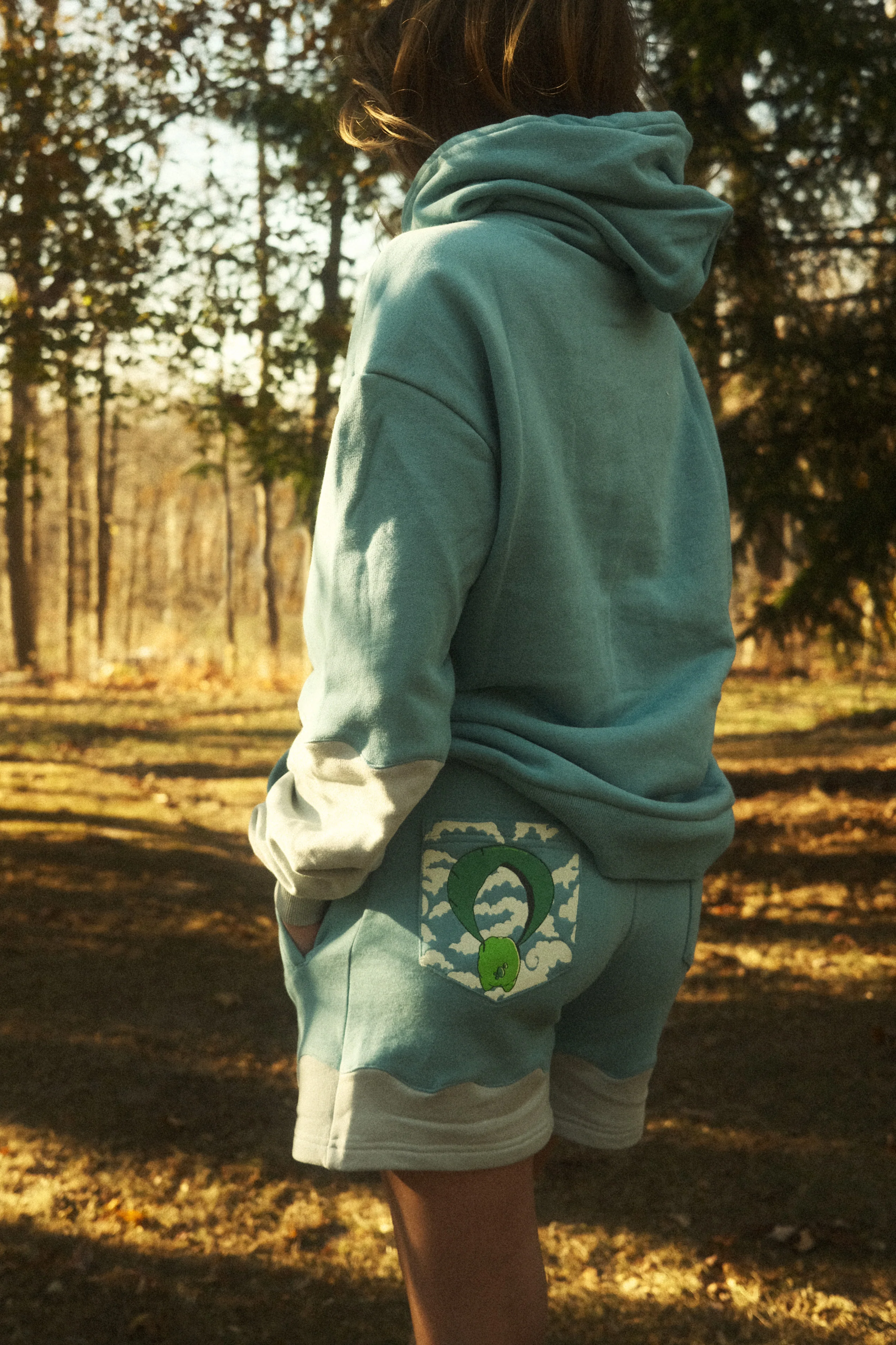 Gliding Frog Daytime Hoodie - Image 5