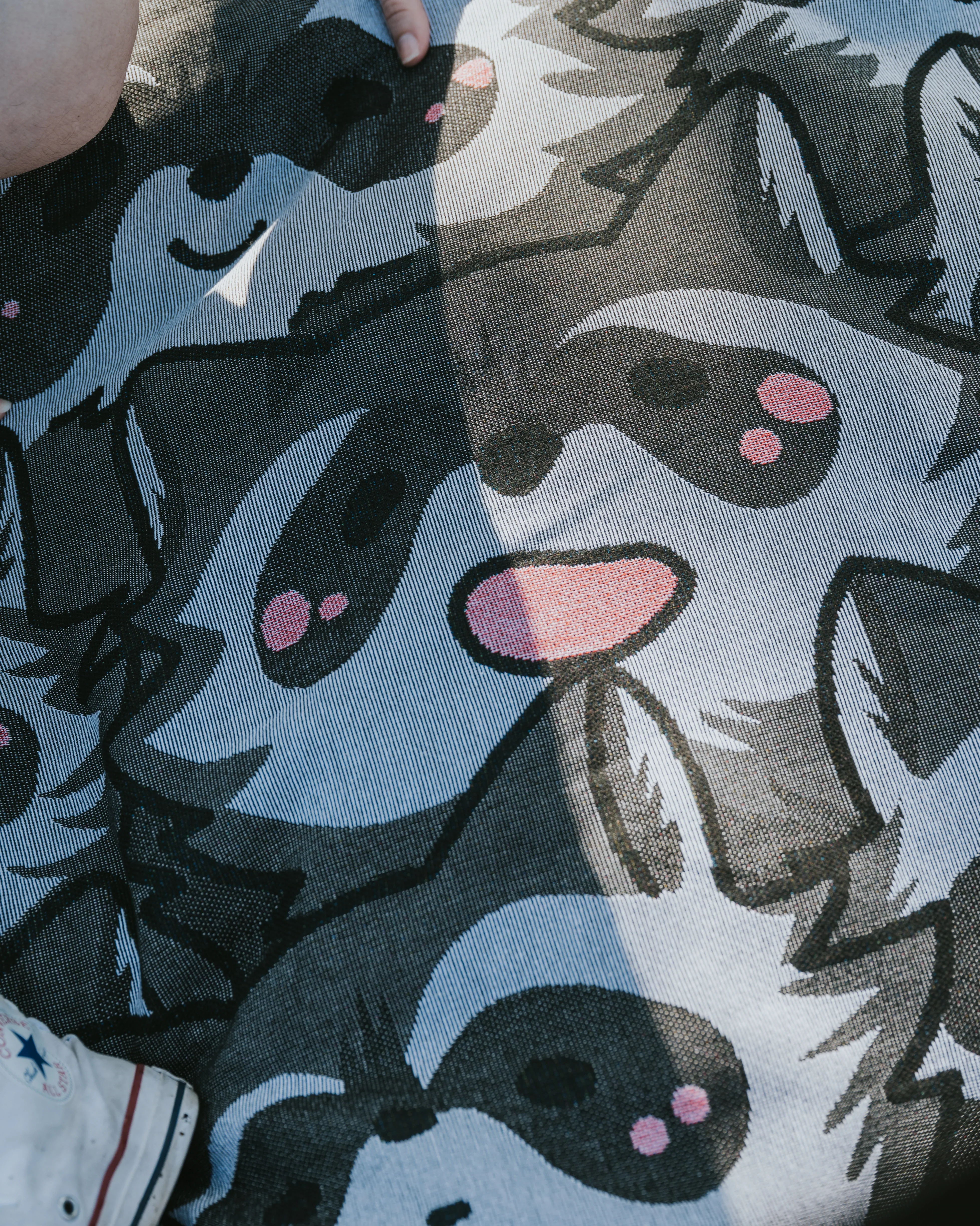 Nice Racc-oon Blanket - Image 5