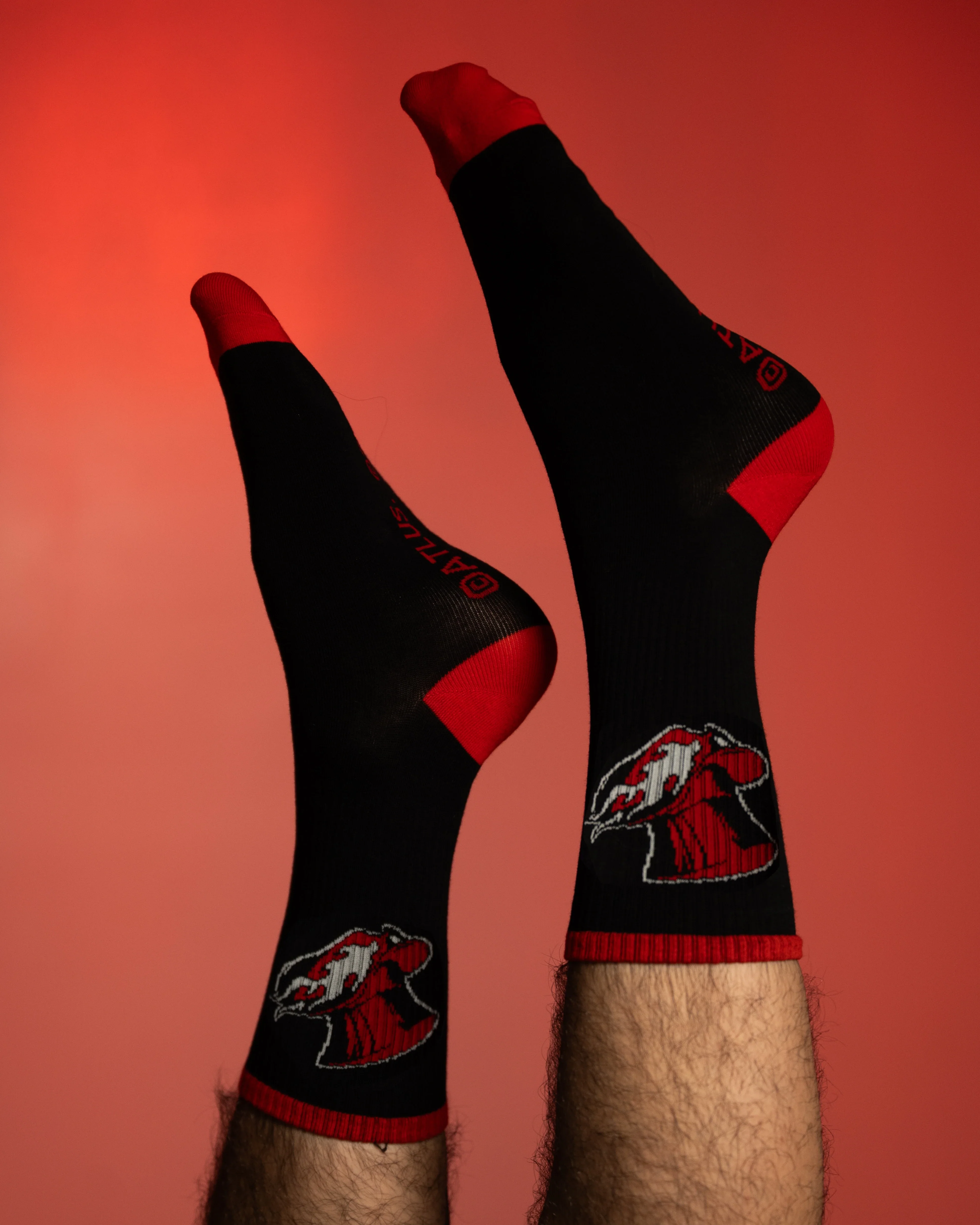 Phantom Thieves Socks - Image 6