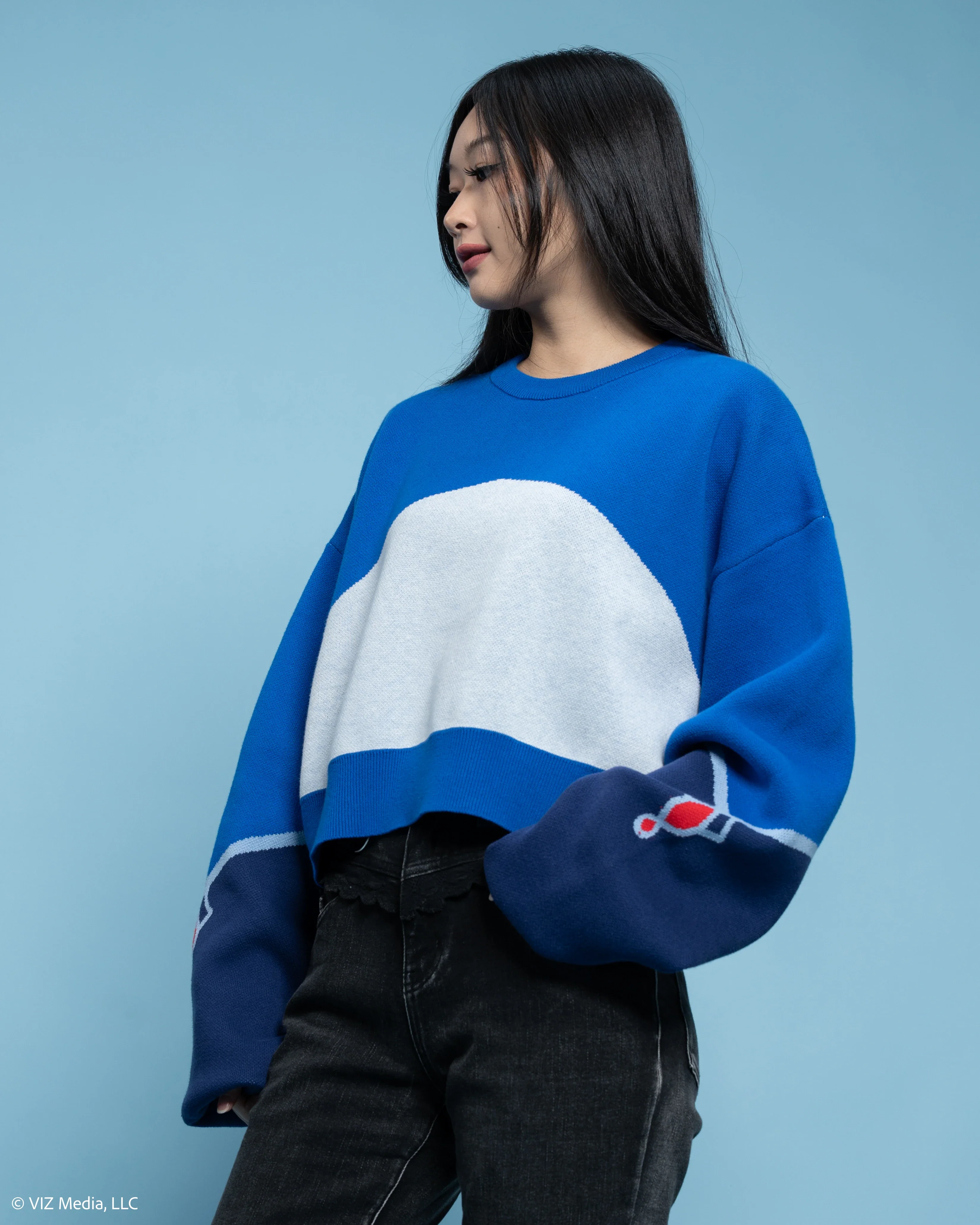 Weiss Cropped Sweater - Image 12